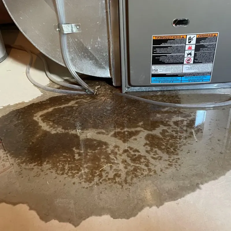 Pipe Burst and Leak Restoration in Berkeley County, WV